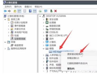 Win11IPo(w)ݔô