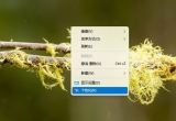 win11ϵy(tng)D(bio)Ҋô£(yng)ԓλ֏(f)