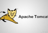 Tomcat(xing)ĿĳҊʽЩ