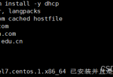 Linuxϵy(tng)(ni)DHCP(w)