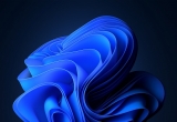 win11ϵy΢ܛٷʲôrֹͣ