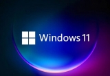win11ϵy(tng)Ԅ(dng)¿P(gun)]᣿P(gun)]Ԅ(dng)ʲô̎