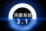 3.1ϵyô