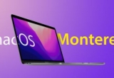 montereyϵy(tng)ôӣÆ