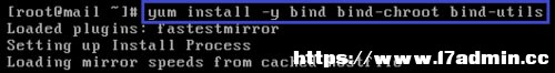 Linux(CentOS)ΰbDNS